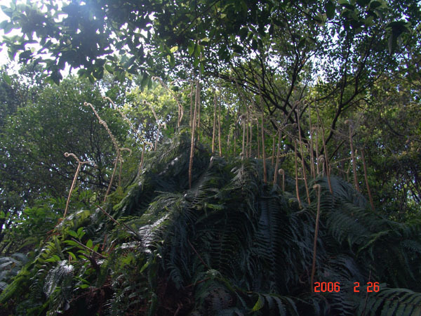 腾冲云峰山 腾冲云峰山