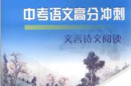 中考语文高分冲刺：现代文阅读