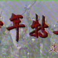 少年特工(电视剧)