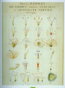 生物分类 生物分类
