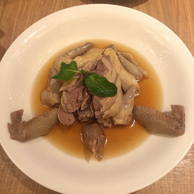 醉乳鸽