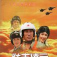 壮志凌云(2000年宁海强执导电视剧)