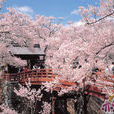箱根山