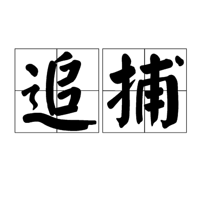 追捕(汉语辞彙)