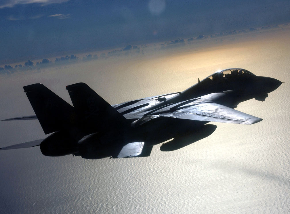 F-14“雄猫”战斗机的双垂尾 F-14“雄猫”战斗机的双垂尾