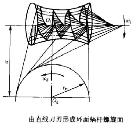 环面蜗桿形成 环面蜗桿形成