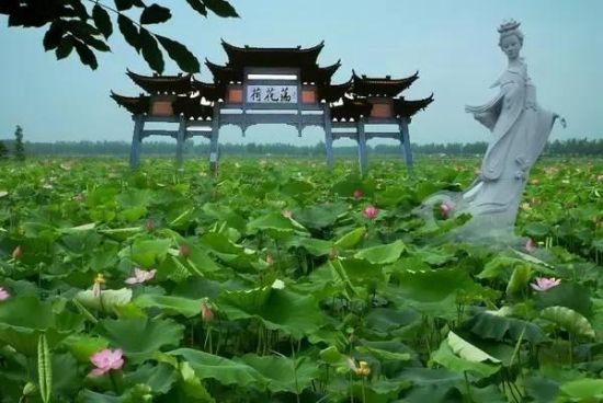 荷花荡