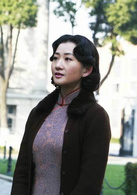 追捕(2011年海清主演内地电视剧)