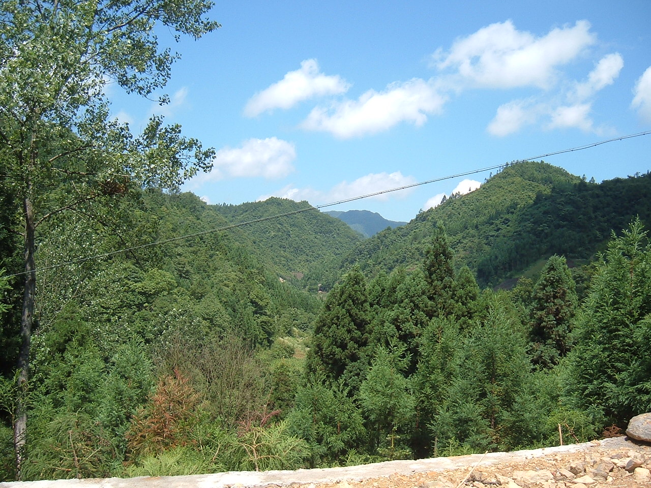 冷水溪景 冷水溪景