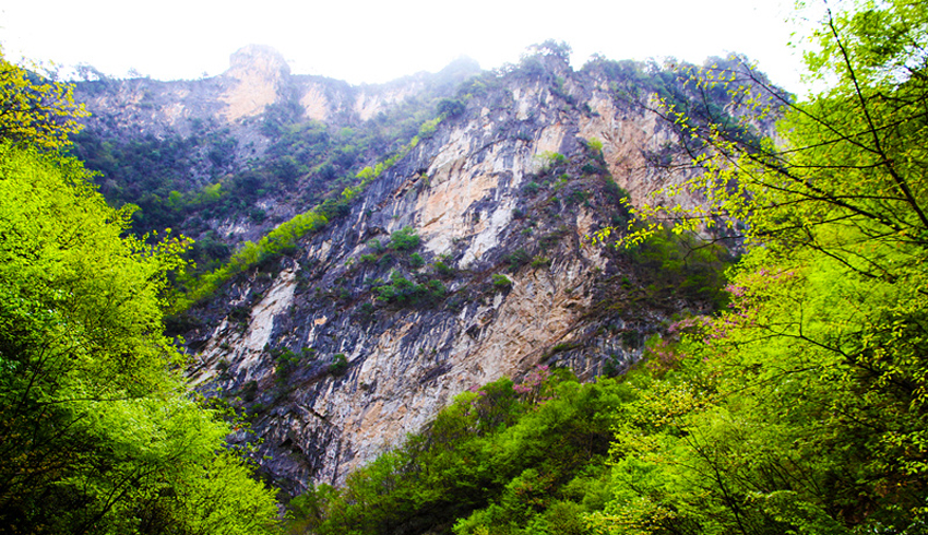 新开岭西部山地地貌 新开岭西部山地地貌
