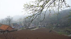 洪谷山 洪谷山