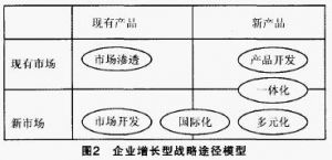增长型战略的决策模型 增长型战略的决策模型
