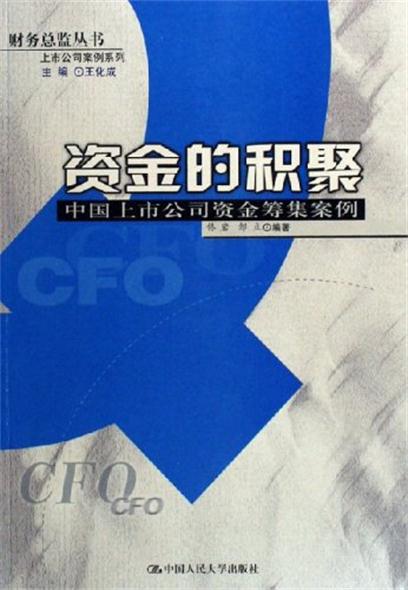 资金的积聚——中国上市公司资金筹集案例