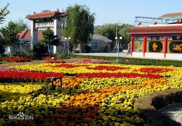 秦皇岛集发农业观光园