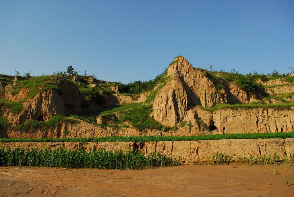 澄城黄土原 澄城黄土原