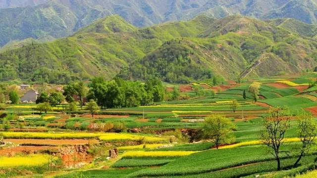 焦岱镇 焦岱镇