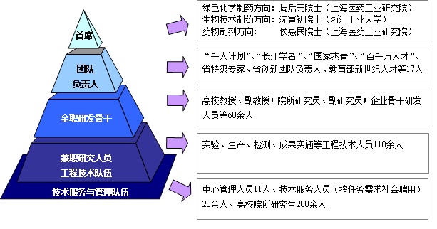 人才队伍梯队 人才队伍梯队