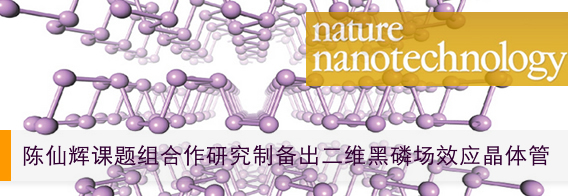 二维黑磷场效应电晶体 二维黑磷场效应电晶体