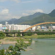 东河镇(四川旺苍县辖镇)