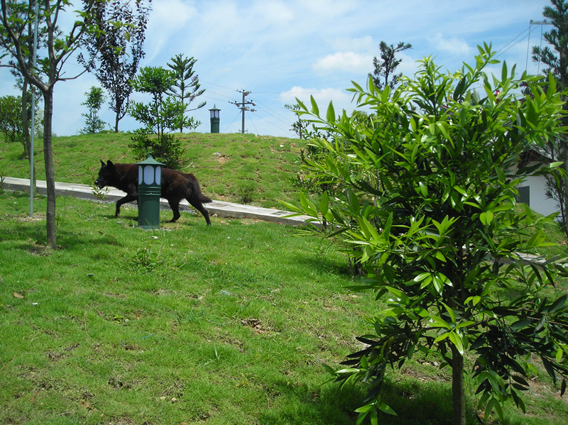 樊家沖村(湖北省黄冈市英山县孔家坊乡樊家沖村)