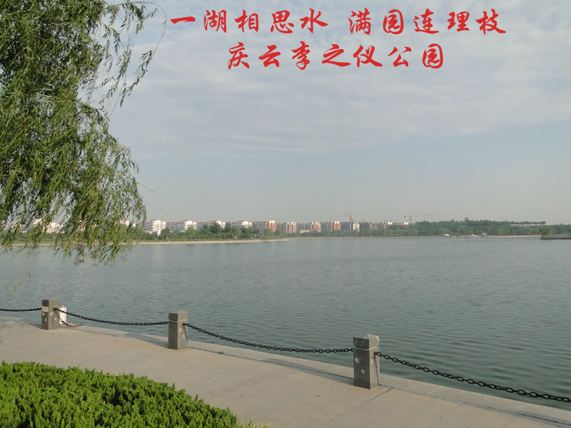 李之仪公园水面 李之仪公园水面