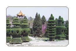 龙亭风景区 龙亭风景区