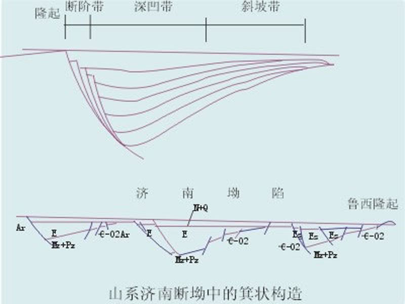箕状构造 箕状构造