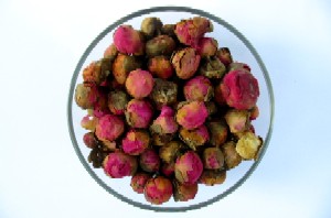 芍药花 芍药花