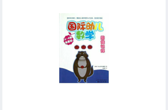国际幼儿数学思维训练