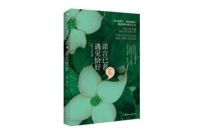 诺言已老，遇见恰好