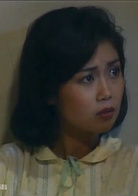 人在旅途(新加坡1985年吴岱融主演电视剧)
