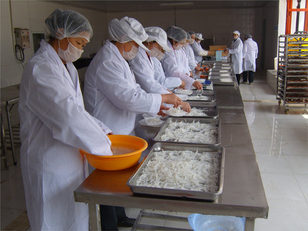 白龙湖银鱼 白龙湖银鱼