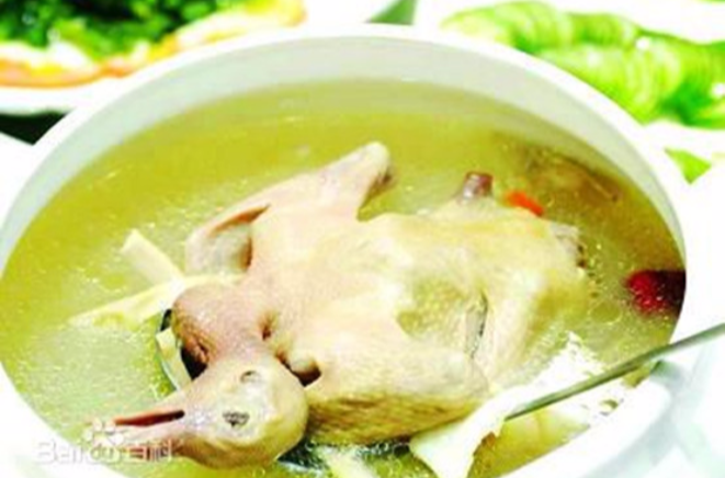 清炖鸽子汤