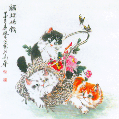 赵本芳