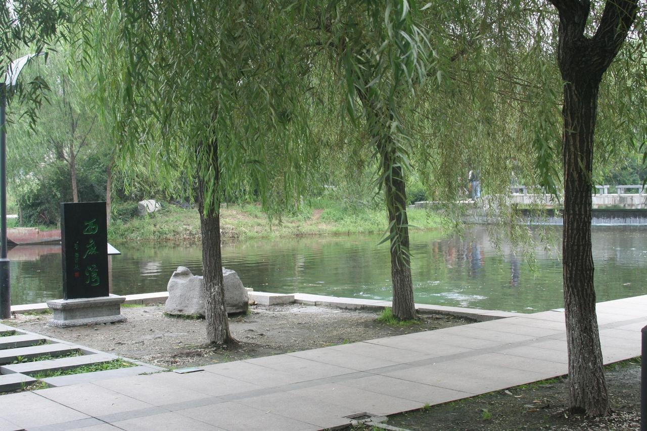 西麻湾 西麻湾