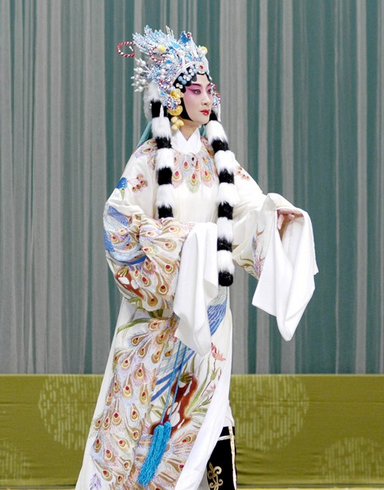 李海燕饰演的蔡文姬戏曲形象 李海燕饰演的蔡文姬戏曲形象