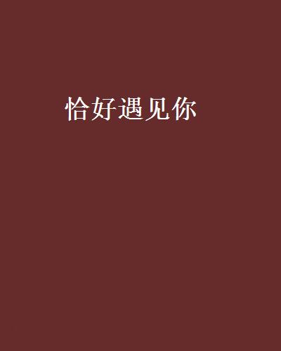 恰好遇见你(小说)