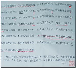 2009最牛作文 2009最牛作文