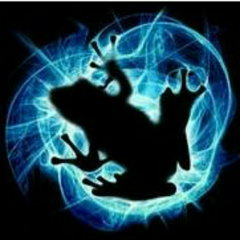 冰蛙(icefrog)