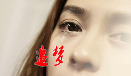 追梦(预计2016年上映的院线电影)