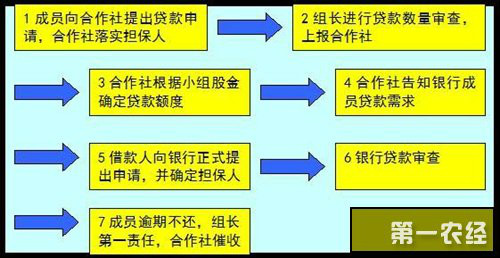 农村信用合作社 农村信用合作社