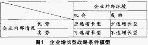 增长型战略的决策模型 增长型战略的决策模型