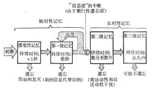 遗忘障碍图解 遗忘障碍图解