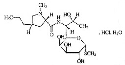 注射用盐酸林可霉素 注射用盐酸林可霉素