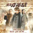 谁是真英雄(2013年小瀋阳主演电视剧)