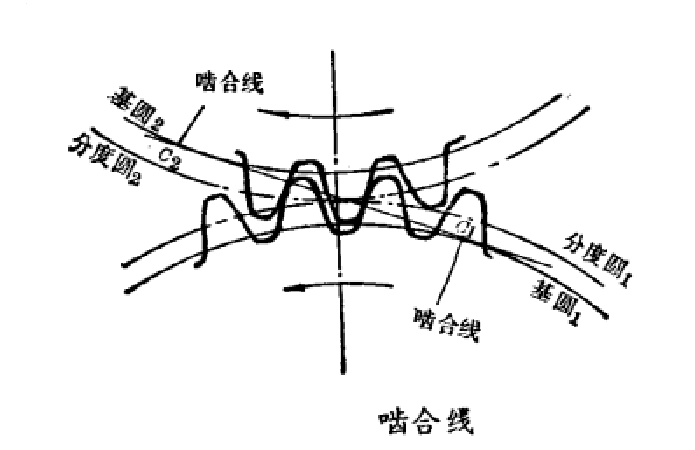 啮合线
