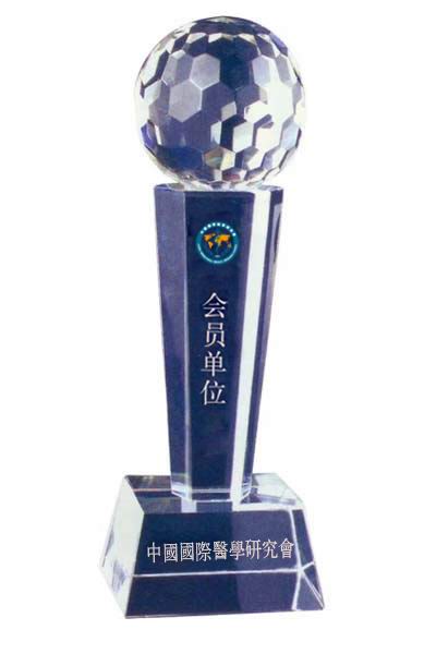 中国国际医学研究会 中国国际医学研究会