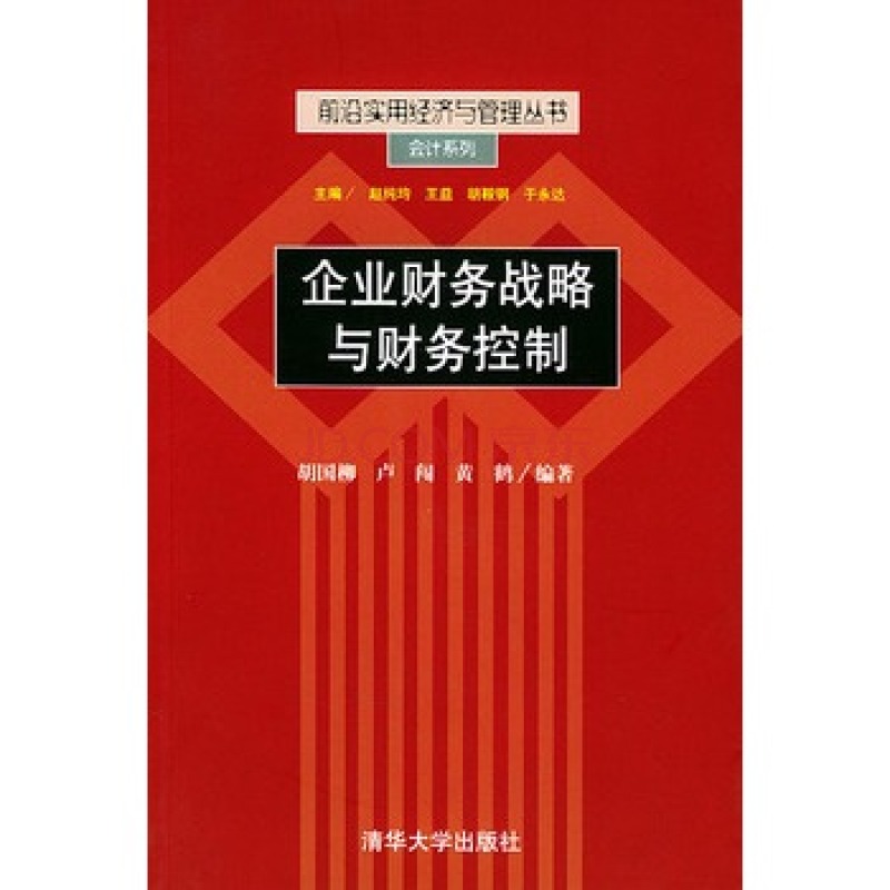企业财务战略与财务控制