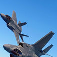 F-35战斗机(美国F-35B短距起飞垂直着陆(STOVL)战斗机)