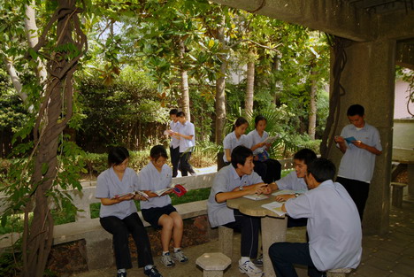 学生们在植物园内探讨学习问题 学生们在植物园内探讨学习问题